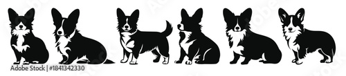  corgi dog silhouettes vector set black silhouette of dogs 