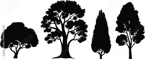 Five Different Types of Black Silhouette Trees nature