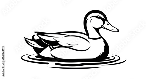 Duck floating on water graphic illustration black and white isolated