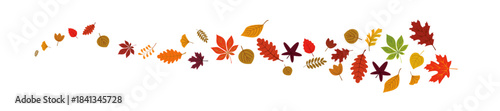scattered arrangement colorful autumn leaves seeds foliage fall nature illustration