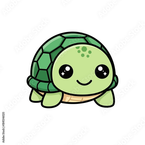 set 3 shelled animal popular kawaii illustration sea turtle