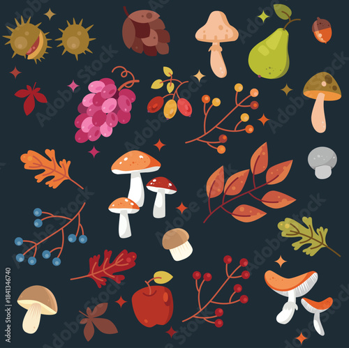 Seamless pattern on dark background, with vibrant, simplified illustrations of Penny Bun, Puffball and Fly agaric mushrooms, along with red apple, pear, grapes, chestnuts, acorns, and berries.