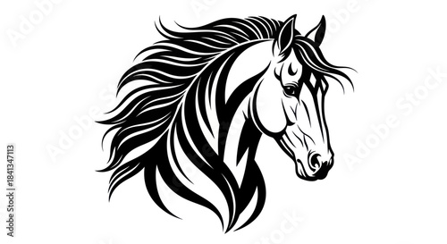 Elegant black and white horse head illustration for design and decoration