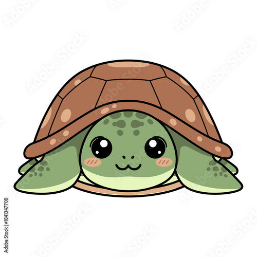 set 4 shelled animal popular kawaii illustration softshell turtle