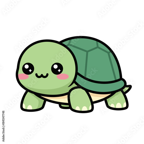 set 4 shelled animal popular kawaii illustration