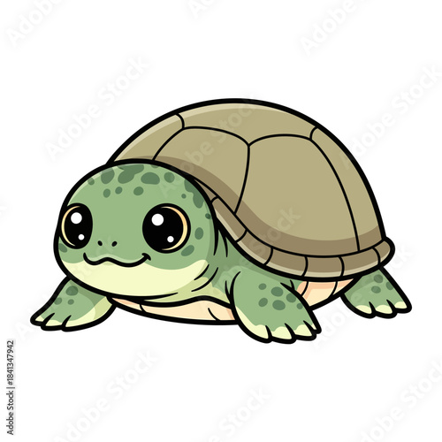 set 4 shelled animal popular kawaii illustration