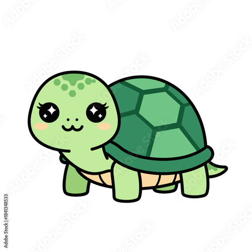 set 4 shelled animal popular kawaii illustration terrapin