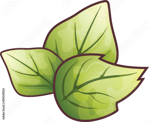 Stylized vector illustration of three fresh green mint leaves isolated on a white background