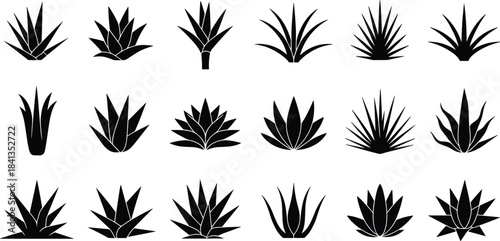 Collection of Black Silhouette Agave Plant Icons succulent