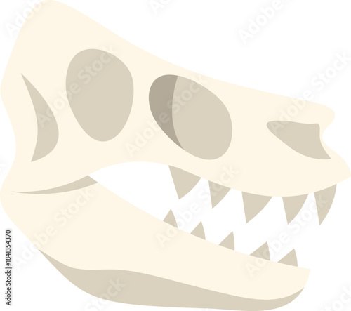 Side view of carnivorous dinosaur skull isolated on white background