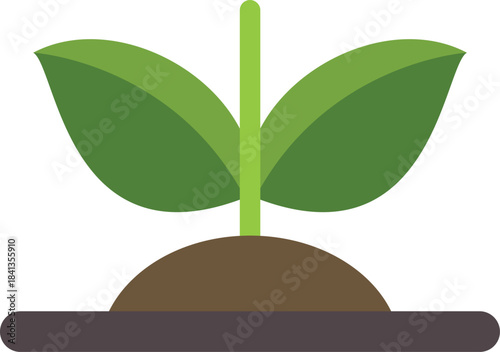 Small plant with two green leaves growing from brown soil, symbolizing new life, beginnings, and growth