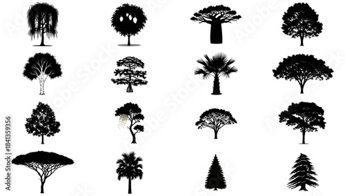 botanical blueprint universal tree silhouettes, crafting natures essence across every design set, isolated on transparent background