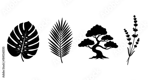 Elegant Plant & Tree Silhouettes