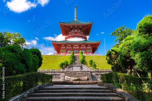 千葉県成田市 成田山新勝寺 平和大塔
