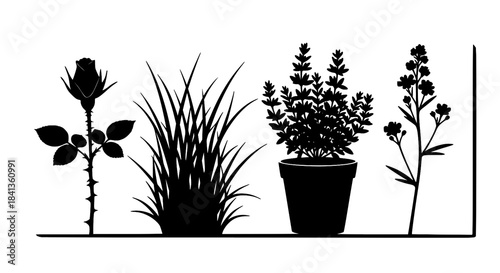 Elegant Plant & Tree Silhouettes