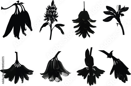 Banana flower layered bracts hanging set Silhouette Vector	