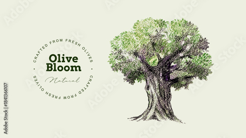 Vintage sketch olive oil banner. Extra virgin, farm product, Mediterranean cuisine, cosmetic, organic farm, packaging label, bottle sticker, menu header. Engraved hand drawn vector illustration.