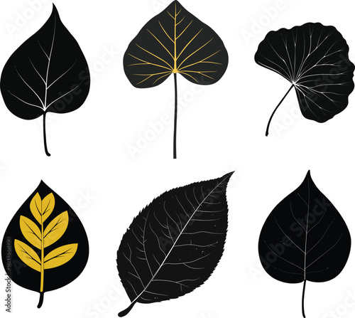 Komatsu leaf smooth rounded mustard set Silhouette Vector	