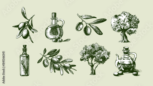 Vintage sketch set of olive branches, bottles of oil, trees. Extra virgin, farm product, Mediterranean cuisine, cosmetic,  packaging label, bottle sticker. Engraved hand drawn vector illustration.