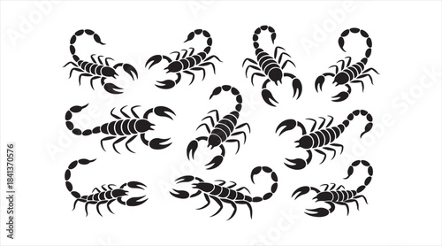 Scorpion silhouette pack displaying stinger tails and claw details for animal design, zodiac art, and nature graphics