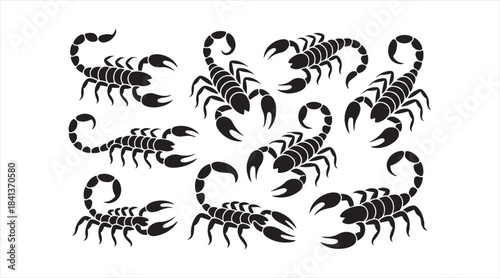 Set of scorpion icon silhouettes with multiple body positions for wildlife graphics, pest symbols, and desert creature illustrations