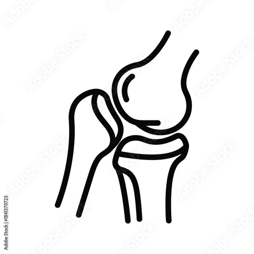 Knee joint anatomy icon outline vector illustration of human leg bones