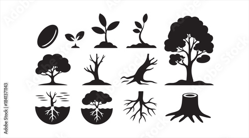 Plant development pictogram set displaying seed germination, tree maturity, natural roots, and deforestation elements