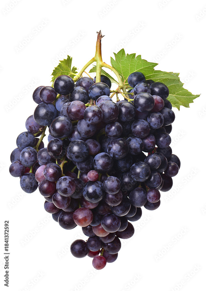 Fototapeta premium Bunch of grapes isolated