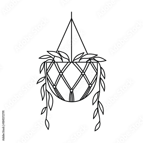 Hanging Plant in Macrame Holder Outline Vector