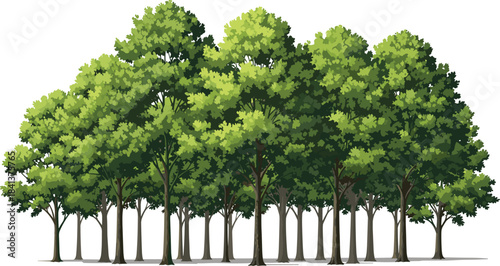 Dense green forest trees illustration with layered foliage, natural landscape vegetation scene, lush woodland vector artwork for environmental and nature projects