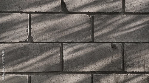 Sunlight through the tree branches on to the old concrete block wall. Brick texture surface background