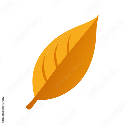Vector Clip Art Dried Leaf on White Background for Web and Graphic Design