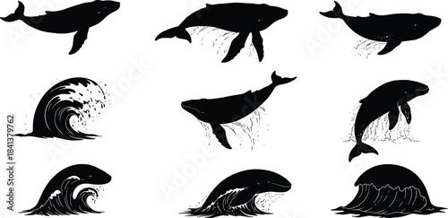 Whale silhouettes swimming, breaching, diving with ocean waves, marine life illustration, sea wildlife artwork, nautical design, educational nature art