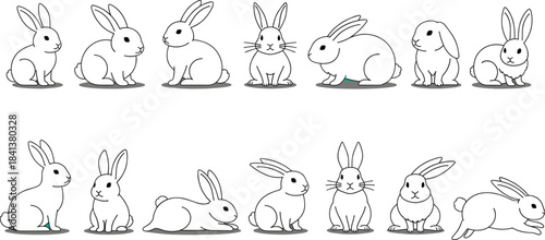 Detailed Vector Collection of Diverse Frog Species and Toad Illustrations in Various Colors and Patterns, Ideal for Biology, Wildlife, Amphibian, and Nature Education Graphics.