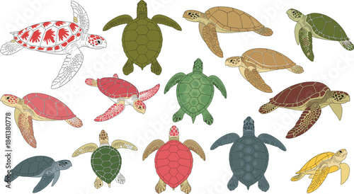 Flat Vector Collection of Pigeons and Doves in Different Poses (Flying and Standing), Ideal for City Birds, Peace Symbols, Messenger, and Urban Wildlife Graphics