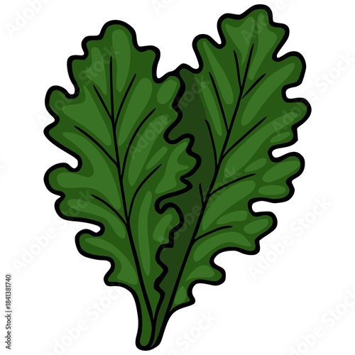 A vibrant green kale leaf vector illustration with bold black outlines and subtle shading, isolated on a clean white background, evoking freshness and healthy eating.