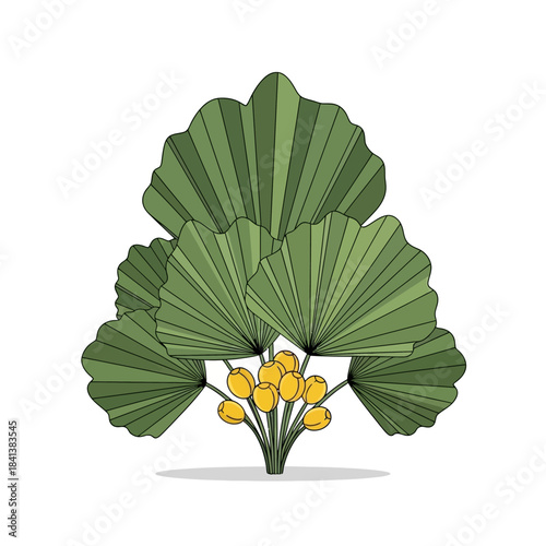 Stylized palmetto illustration with green leaves and yellow fruit against clean background