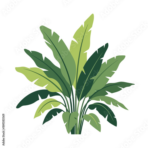 Stylized foliage composition showcases a vibrant cluster of tropical green leaves botanical