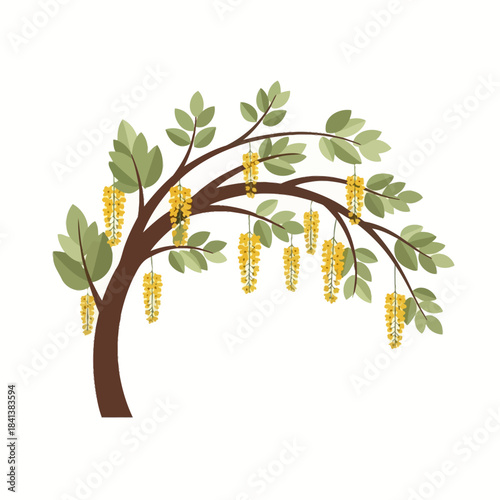 Stylized golden chain tree art with graceful cascading blooms and simple vector design