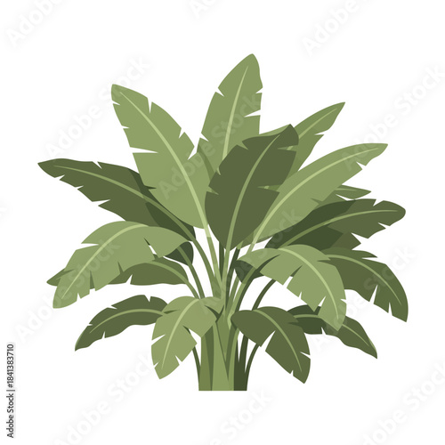 Lush green foliage illustration showcases a vibrant display of botanical freshness