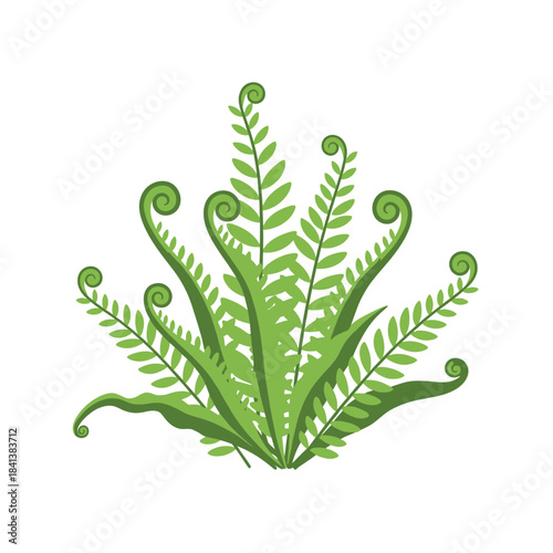 Stylized fern illustration showcasing its intricate fronds and graceful symmetry, evoking a sense