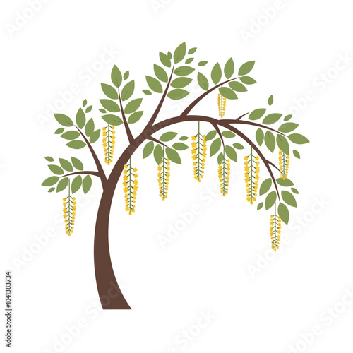 Stylized golden chain tree illustration offering a serene botanical decorative element design