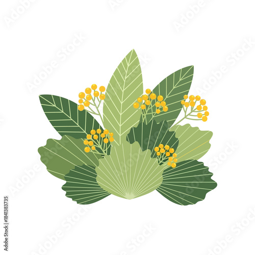 Stylized botanical illustration featuring a plant arrangement with varied green leaves and small