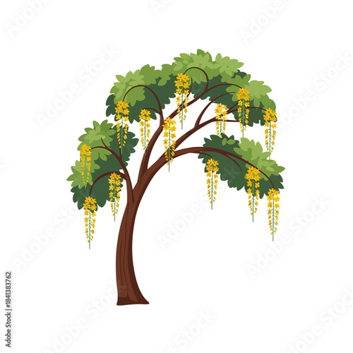 Golden Shower Tree: A Vibrant Botanical Illustration Showcasing Nature's Artistic Flourish