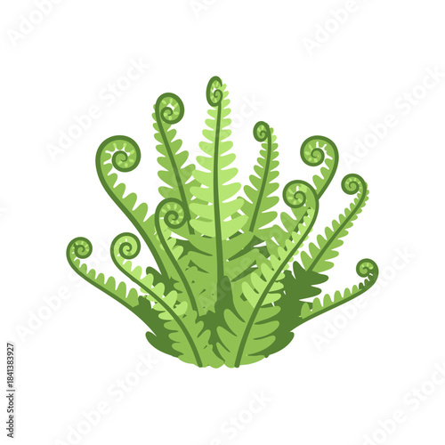 Stylized green fern illustration with curled fronds on white background displaying vibrant nature