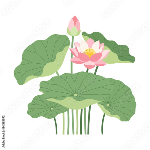 Elegant aquatic flora illustration showcasing a blooming lotus with verdant foliage