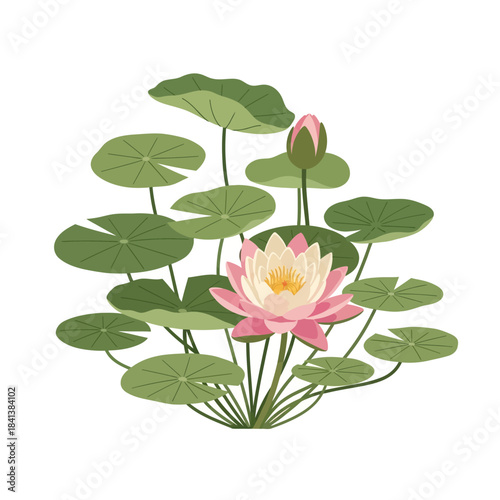 Serene water lily illustration with soft pink petals amidst tranquil green leaves delight