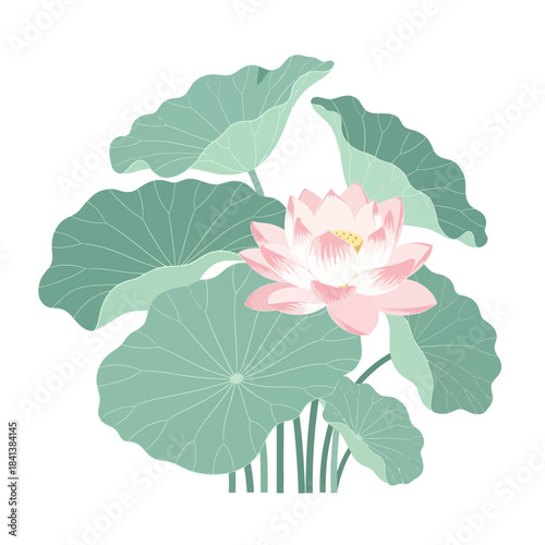 Elegant lotus blossom surrounded by soothing green foliage vector illustration for projects