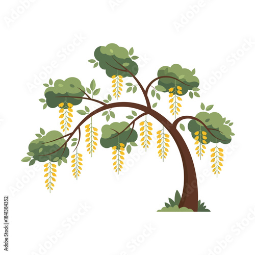 Stylized wisteria tree illustration with cascading yellow flowers for botanical designs