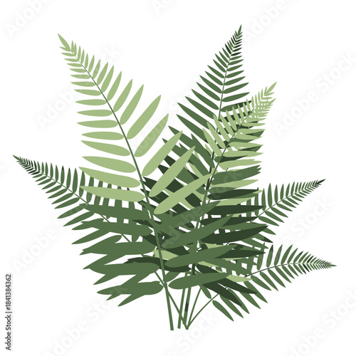 Stylized fern illustration showcasing shades of green against a white background creates a natural